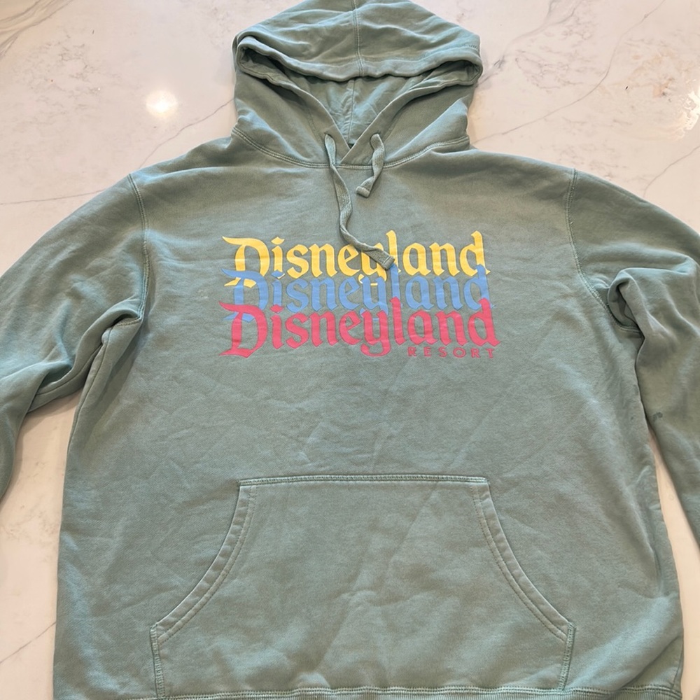 Disneyland Multicolor Logo Hooded Pullover Sweatshirt Unisex Pale Green SZ M